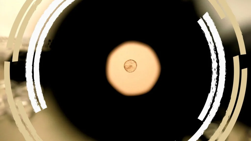 Navigating the Ethics of Human Embryo Editing: Insights from Recent Advances