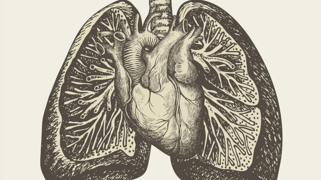 Eli Lilly's Experimental Obesity Drug Draws Attention Due to Rare Use in Pulmonary Hypertension Case
