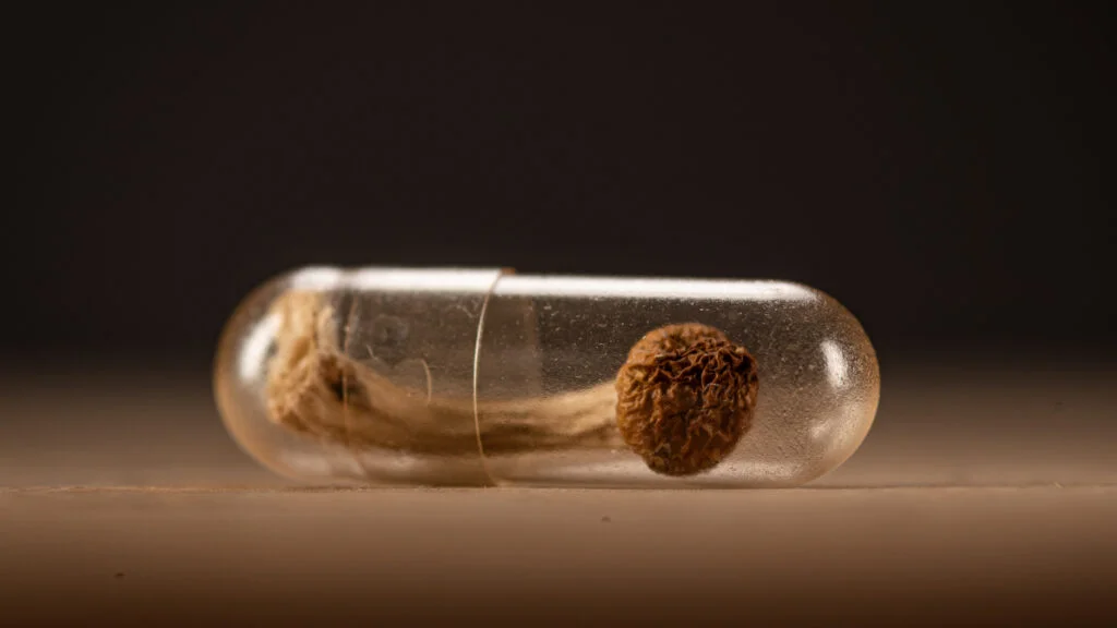 Psilocybin Therapy Shows Long-Lasting Benefits for Depression, Studies Indicate