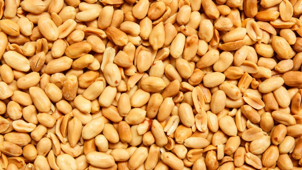 Fecal Microbiome Transplants Show Promise for Treating Peanut Allergies