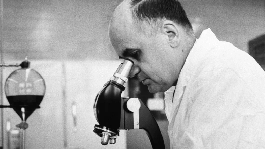 The Risks of Splitting the MMR Vaccine: Historical Insights and Implications