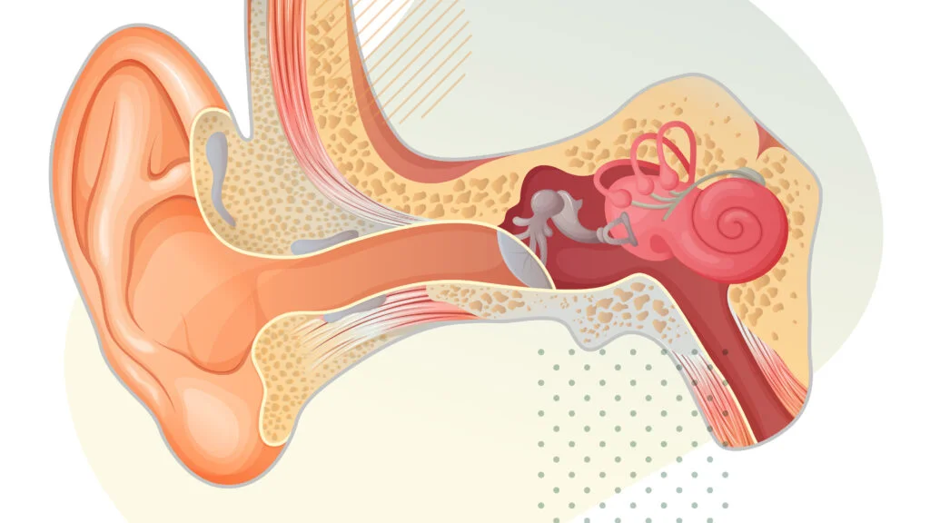 Skylark Bio Launches Gene Therapy Trial Targeting GJB2-Related Deafness