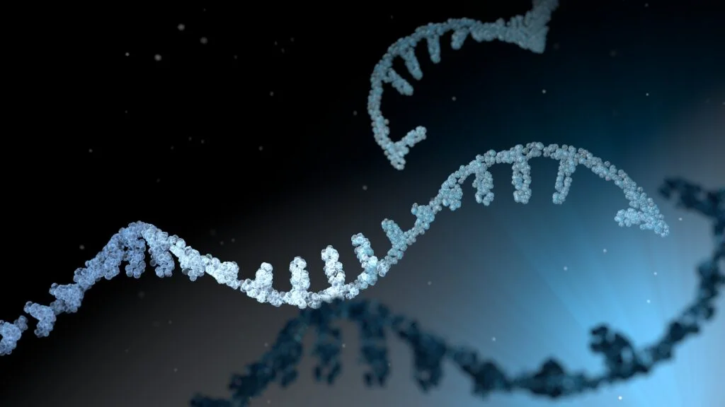 Significant Milestones in Cancer Treatment: Merck and Moderna's mRNA Breakthrough
