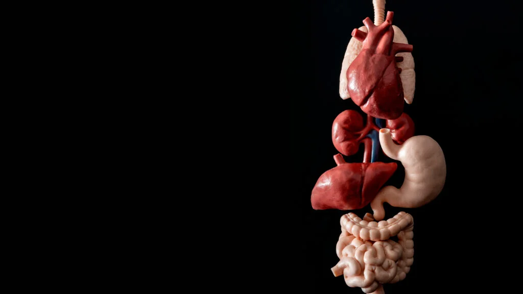 Emerging Cardio Drugs: A Focus on Lipoprotein(a) Targets