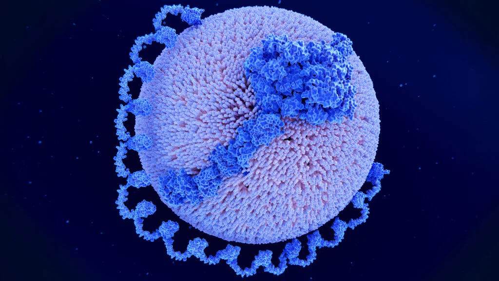 Emerging Treatments Target Genetic Heart Disease Risk Factors