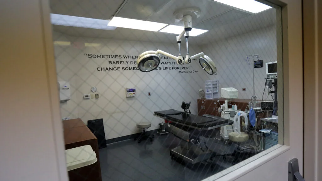 Unexpected Outcomes in Abortion Metrics Post-Dobbs Decision