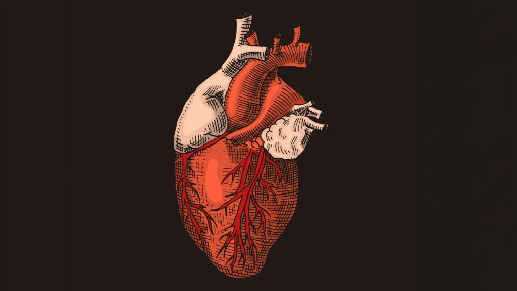 Cytokinetics Advances Aficamten for Non-Obstructive Hypertrophic Cardiomyopathy Approval