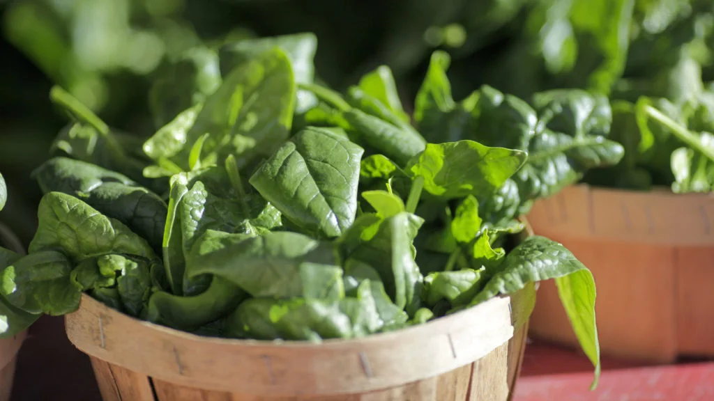 FDA Reassesses Botanical Drugs Amid Ongoing Healthcare Challenges